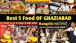 Top 5 Food Ghaziabad  Food Tour Ghaziabad  Breakfast Lunch Dinner  Yummy Food India [upl. by Hayouqes]