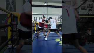 😎Training Nurlan Saburov ufc mma boxing [upl. by Vincenz]