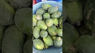 papayas pa more [upl. by Stutman812]