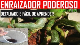 ENRAIZADOR DE ORQUIDEAS CASEIRO e enraizador de plantas potente hormônio natural n é adubo frtz [upl. by Nixon]