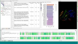 Protein Structure Modeling and Analysis Webinar [upl. by Einattirb]