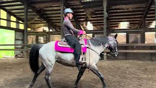 Stormy with Emily up Class  43 Western Pleasure Open WJ Tennessee Walking Horse [upl. by Arak848]