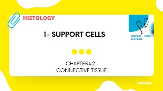 Support Cells  CHAPTER2 CONNECTIVE TISSUE [upl. by Ardyth]