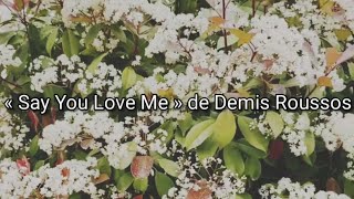 Demis Roussos Say You Love Me أغنية مترجمة [upl. by Htebsil39]