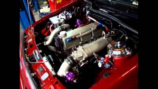 Dyno Compilation  ZTee24  Merkur XR4Ti  521whp420ftlb [upl. by Cavanaugh]