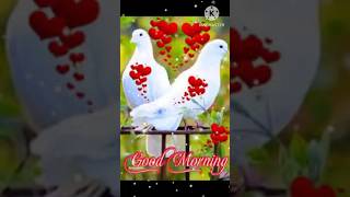 GOOD MORNING video [upl. by Caton]