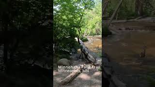 Heron at Minnehaha Falls Trail [upl. by Lleryt]