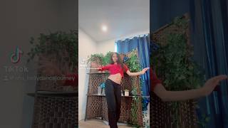 Mesaytara مسيطرة Lamis Kan bellydance [upl. by Kcire571]