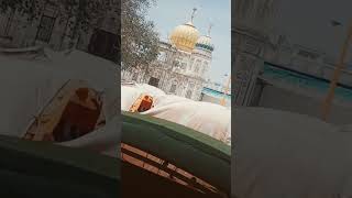 Dhan Dhan shree nabh kamal Raja sahib ji ❤️🙏 rajasahibji shortvideo [upl. by Sarad]