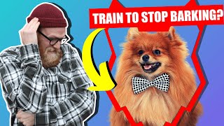 How To Stop Your POMERANIAN Barking [upl. by Etterraj558]