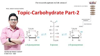 Carbohydrate Part2 Anomer Cyclization of Sugars Sugar acids and Alcohol Amino sugars jrf net [upl. by Hoagland440]