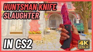 ★ CS2 Huntsman Knife Slaughter  CS2 Knife InGame Showcase 4K [upl. by Iarahs]