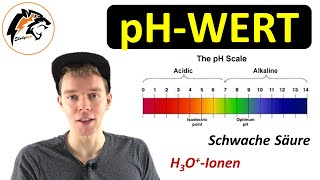 Der pHWert erklärt  NEU [upl. by Eeuqram]