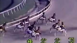 1983 Meadowlands GERALDINE BROLINE Merrie Annabelle Trot [upl. by Rothwell]