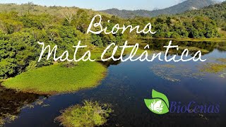 BIOMA MATA ATLÂNTICA [upl. by Atalanti]