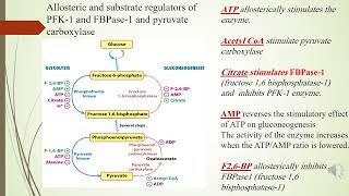 Gluconeogenesis regulation [upl. by Reinaldos]