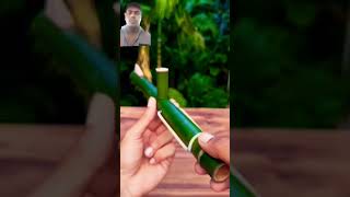 boombot silingshort bamboo viralvideo bangladesh [upl. by Schriever]