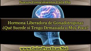 Hormona Liberadora de Gonadotropinas ¿Qué Sucede si Tengo Demasiada o Muy Poca [upl. by Urbas]