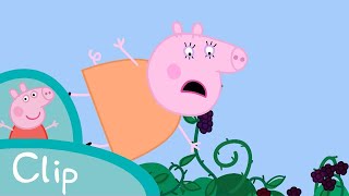 Peppa Pig  The Holiday House Clip [upl. by Lekim]