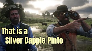 Still Works  Silver Dapple Pinto Missouri Fox Trotter  Arcadia for Amateurs  RDR2 [upl. by Ocisnarf895]