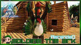 Weve Joined forces with the Murder Turkeys Soloing the Ark Ascended 31 [upl. by Hareemas491]