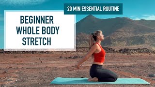 20 min  Beginner Whole Body Stretch [upl. by Anyaj673]