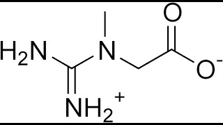 121 Creatine [upl. by Potash]