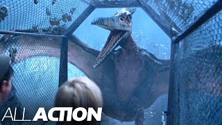 Escaping the Pteranodon Cage  Jurassic Park 3  All Action [upl. by Madelena397]