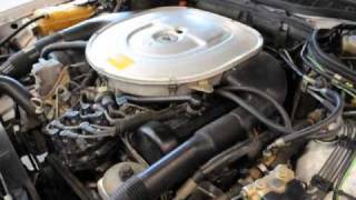 MercedesBenz 560sec W126 Buyers Guide pt2 [upl. by Pax]