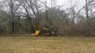 Forestry Mulching Underbrush and stump grinding [upl. by Moya705]