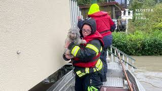 Hochwasser 2024 Klosterneuburg [upl. by Winters]