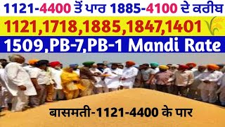 11214400 ਤੋ ਪਾਰ 18854100 ਦੇ ਕਰੀਬ basmati rate 11211718 1885 1847 1401 Pb1 Pb7 basmati price tmb [upl. by Inacana692]