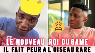 loiseau rare a til peur de daryl Californien 🤣gabon loiseaurare [upl. by Ahswat]