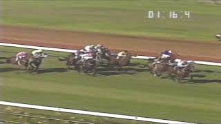 1990 ABC TV SPORTS NEWS  Horse Racing [upl. by Nrehtac796]