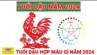 Tuổi Dậu Năm 2024  Tuổi Dậu Hợp Màu Gì Năm 2024 [upl. by Iaras]