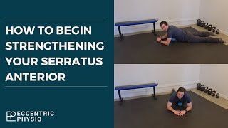 How to begin strengthening your serratus anterior  The MSK Physio [upl. by Maite470]