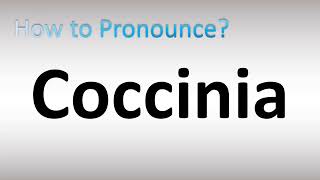 How to Pronounce Coccinia [upl. by Irving]