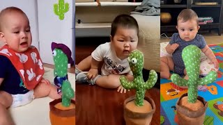 Baby Reaction and Play Cactus Toy videos 2024 [upl. by Binette]