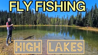 FLY FISHING HIGH MOUNTAIN LAKES WASHINGTON STATE flyfishing hiking insta360 [upl. by Quick]