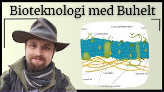 Bioteknologi  Cellemembranen og membrantransport [upl. by Consolata718]