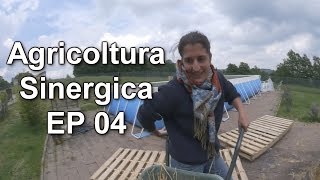 Agricoltura Sinergica EP 04 [upl. by Gnidleif]