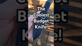 Coolest Budget Knife In My Collection budgetknife edgedmindset kizerknives edgedmindset [upl. by Auqenaj]