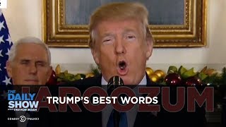 Trumps Best Words The Daily Show [upl. by Arimas]