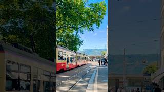 Stadelhofen Zurich Switzerland 🇨🇭 ytshorts abba zurichcity [upl. by Annai513]