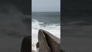 Skimboard em condições épicas  gigantesdenazaré [upl. by Duong269]