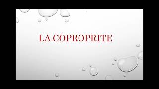 épisode 1  Le Droit de la Copropriété [upl. by Harms]