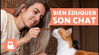 Comment EDUQUER un CHAT  🐱  Guide complet sur léducation dun chat ✅ [upl. by Nogaem]