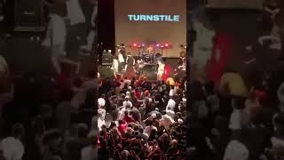 TURNSTILE LIVE IN CONCERT turnstile shorts youtubeshorts [upl. by Afira824]