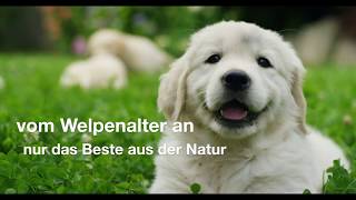 HiNX Das beste Hundefutter der Welt [upl. by Devi]