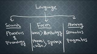 SEMANTICS1 What is Semantics [upl. by Lenoel843]